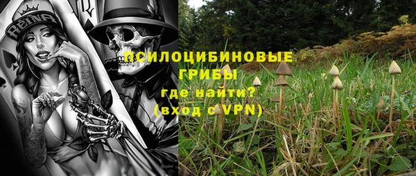эйфоретик Абаза